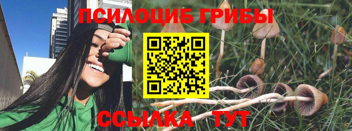 Галлюциногенные грибы Psilocybine cubensis  Вход с VPN  Псилоцибиновые грибы Psilocybe  Тимашёвск 